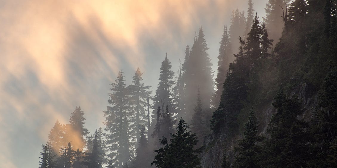 B.E. MEYERS & CO. SUPPORTS THE STERLING PROMISE FOUNDATION